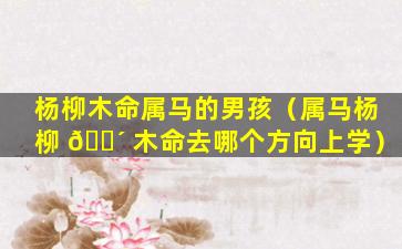 杨柳木命属马的男孩（属马杨柳 🐴 木命去哪个方向上学）